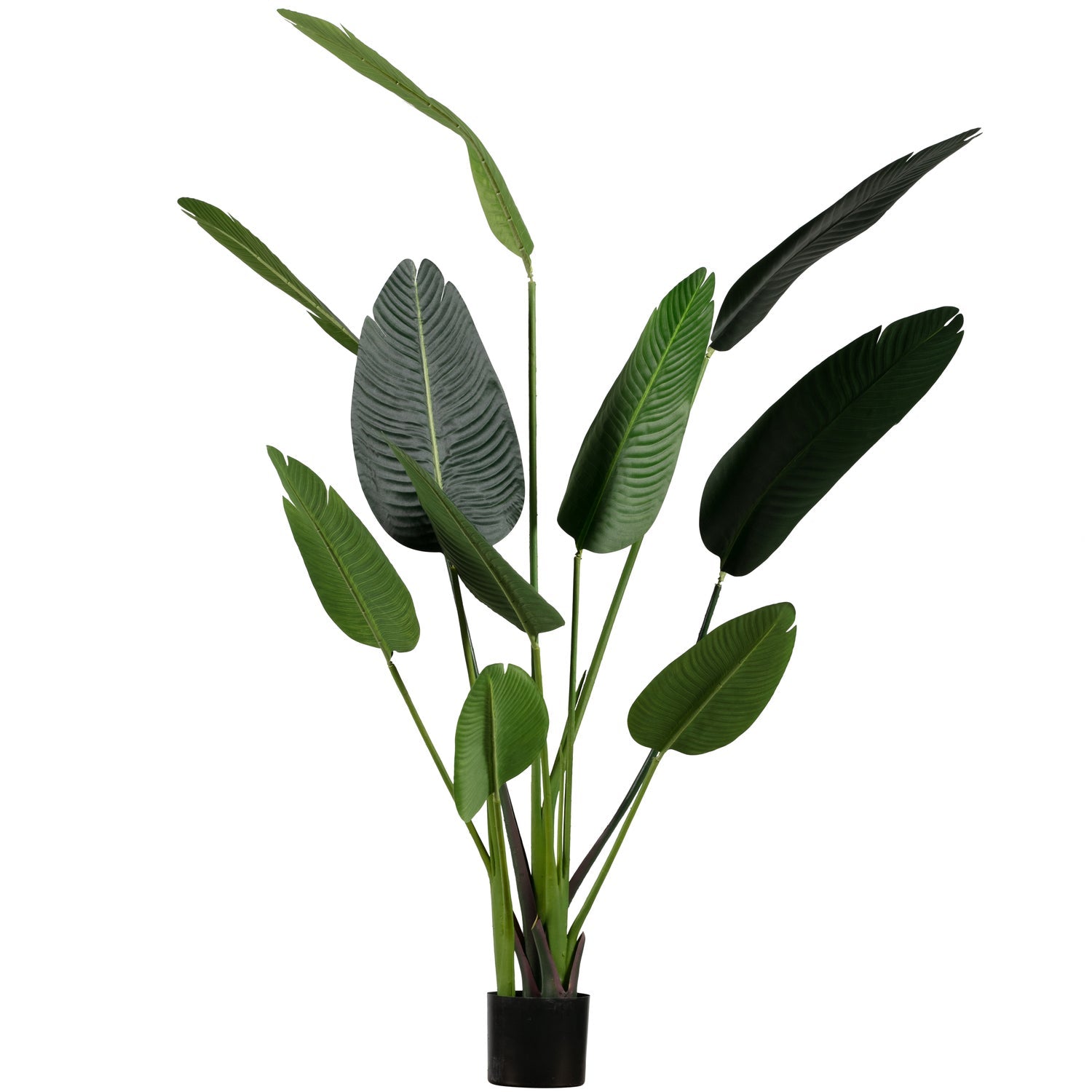 Strelitzia kunstplant groen 164cm