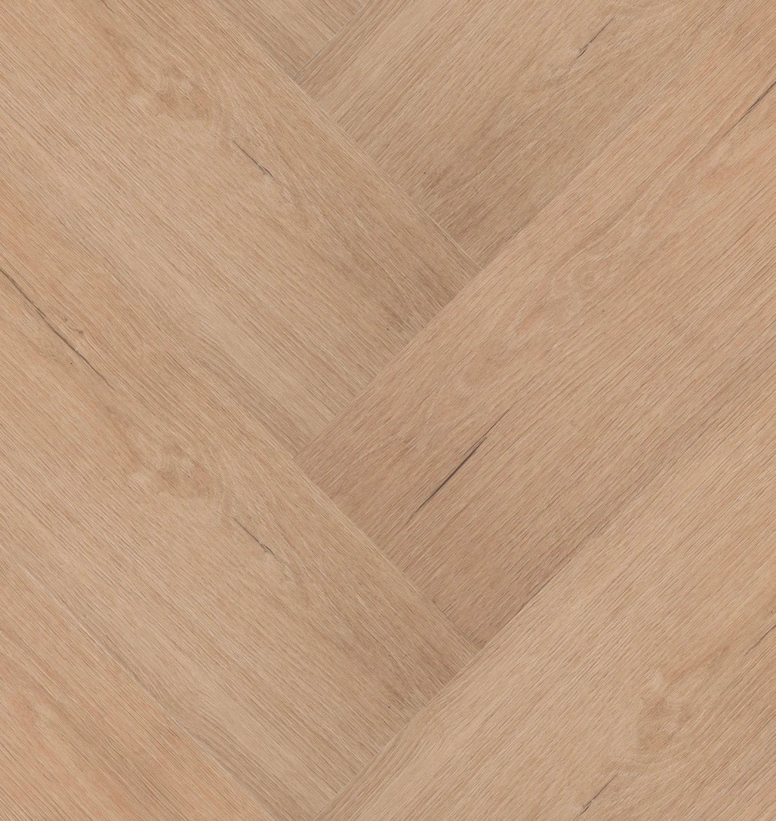 Château Visgraat XL - 57851 - Klik