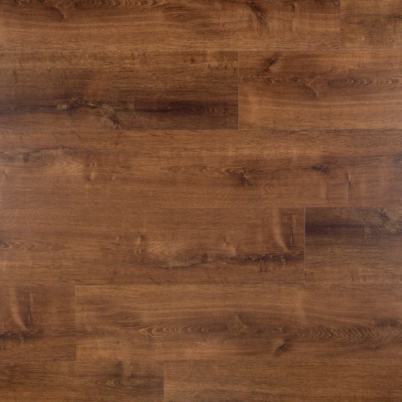 Dawn - Plank - Dryback (plak)