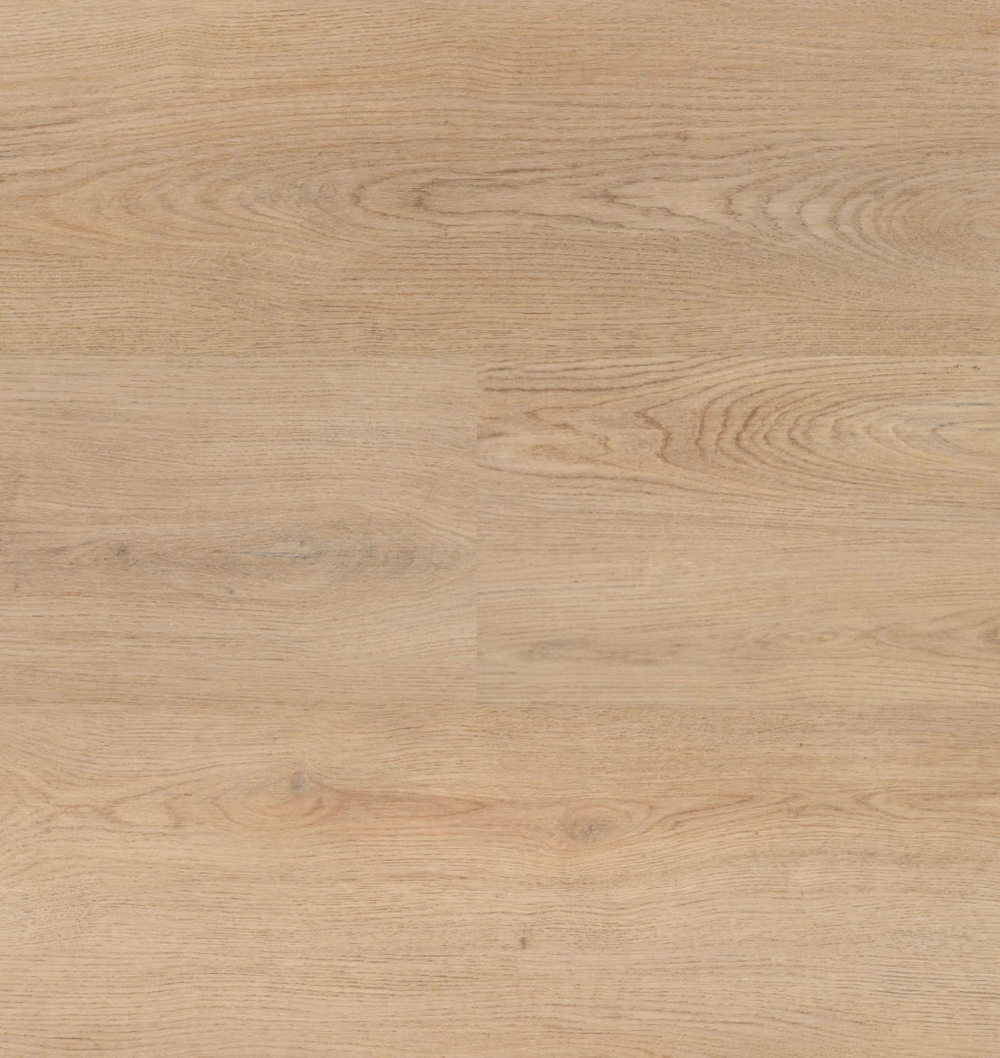 Chablis XL Plank - 54858 - Dryback (plak)