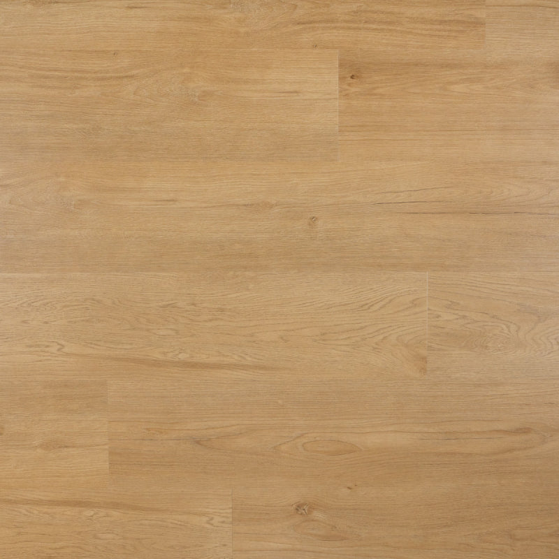 Hammam - Plank - Dryback (plak)