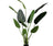 Strelitzia kunstplant groen 164cm