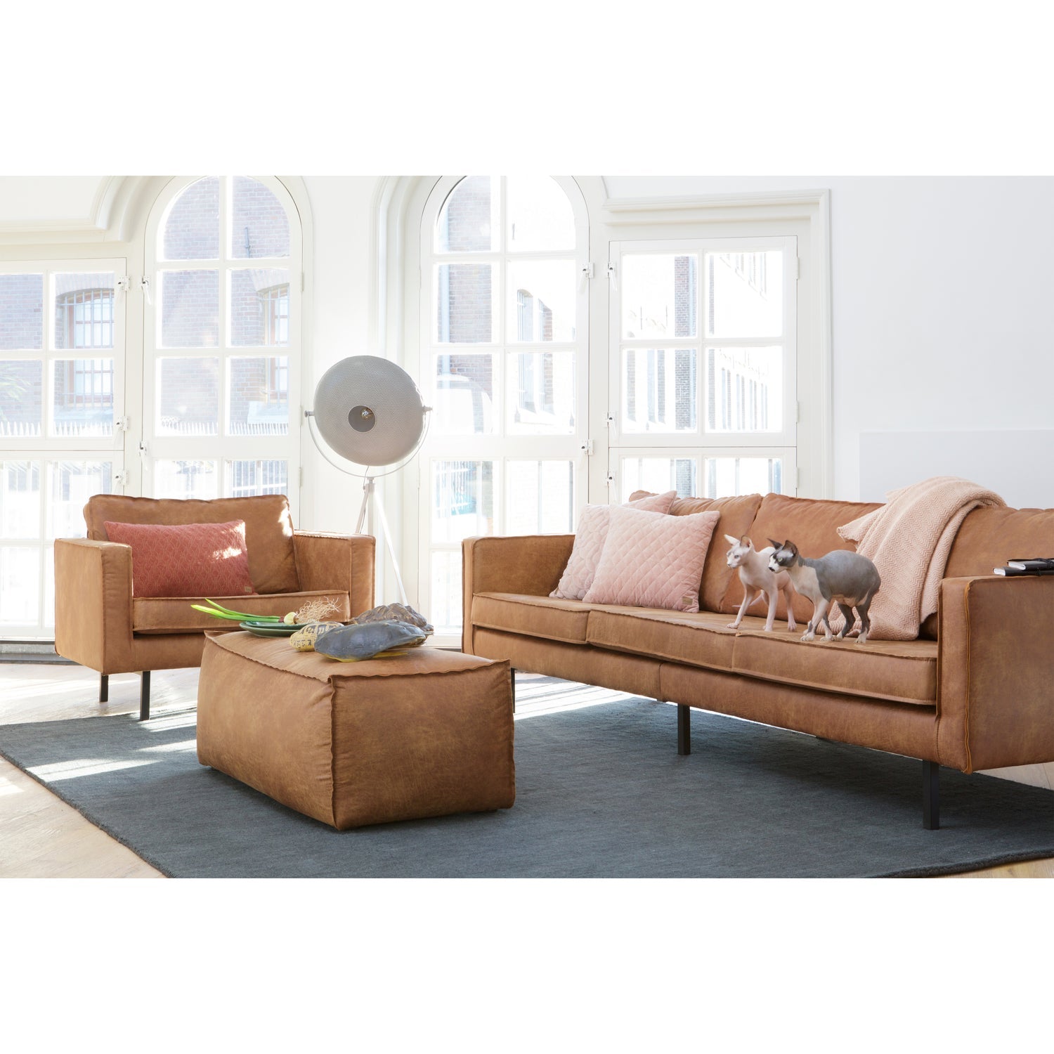 Rodeo 2,5-zits bank ecoleer cognac