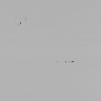 Basic 4-drs vitrinekast grenen mist [fsc]