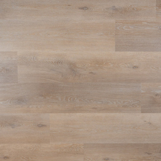 Ava - Plank - Dryback (plak)
