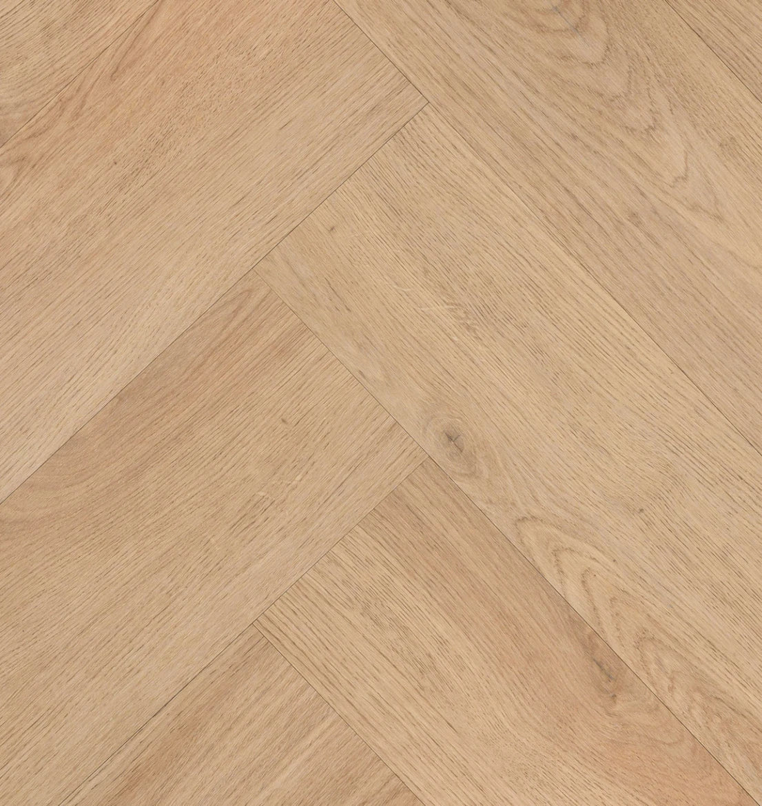 Chablis Visgraat XL - 57859 - Klik