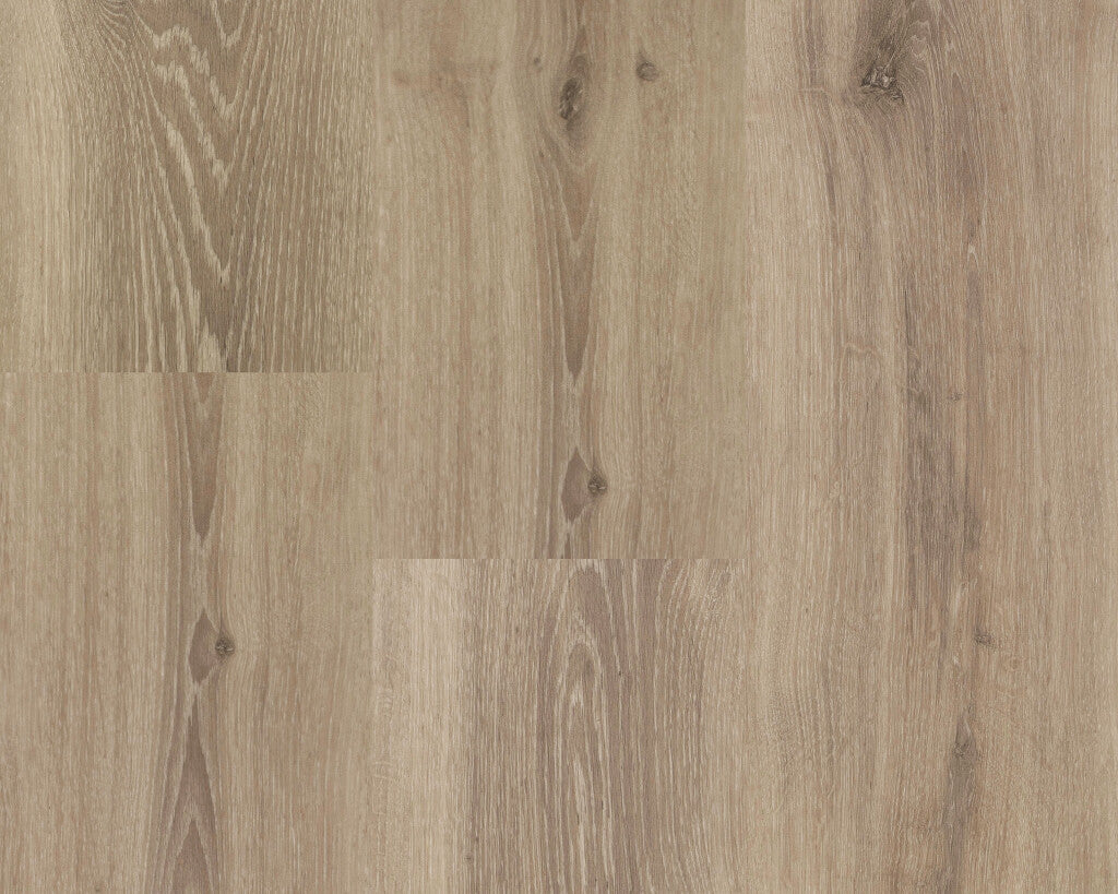 Chamonix XL Plank - 54813 - Dryback (plak)