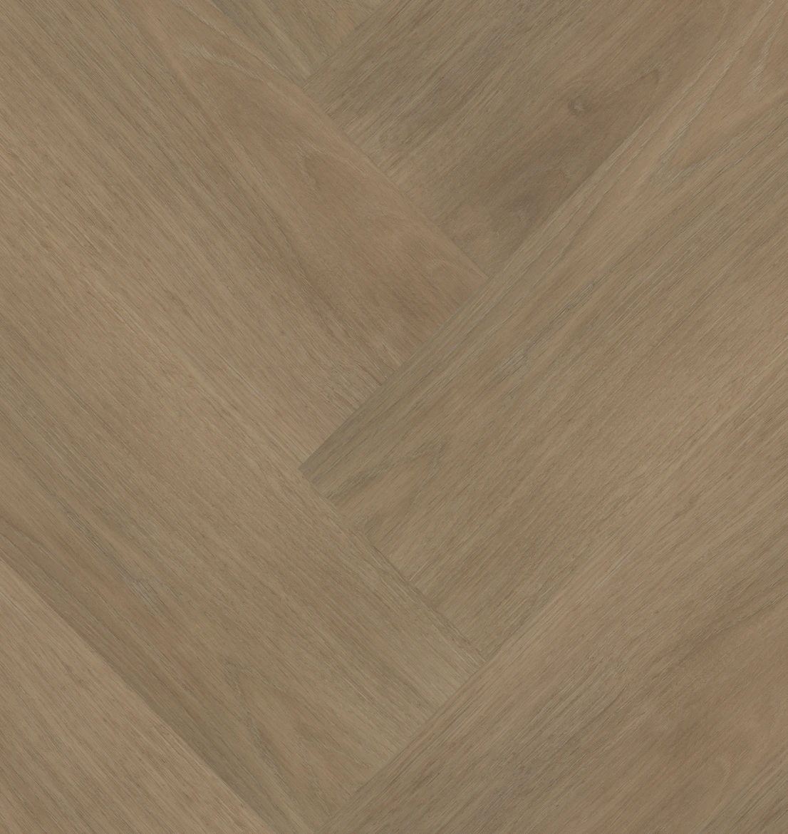 Chapelle Visgraat XL - 77841 - Dryback (plak)