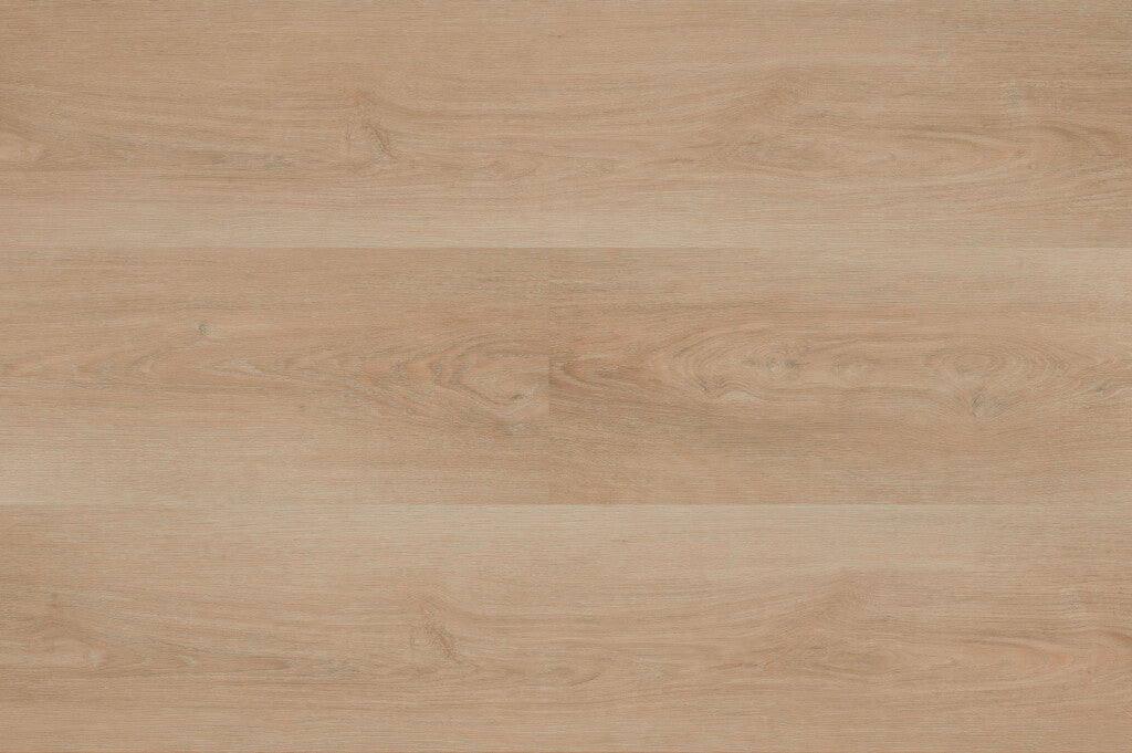 Charente XL Plank - 5460 - Dryback (plak)
