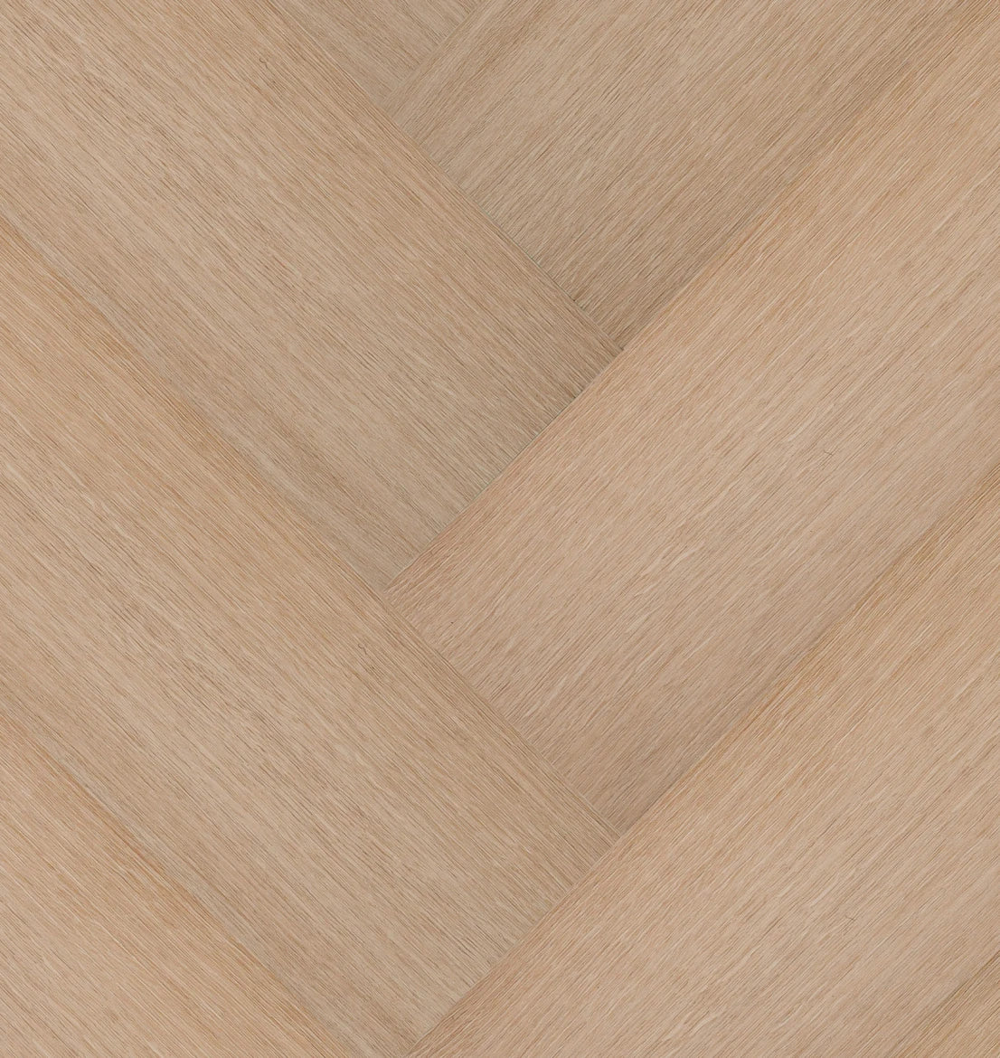Château Visgraat XL - 77853 - Dryback (plak)