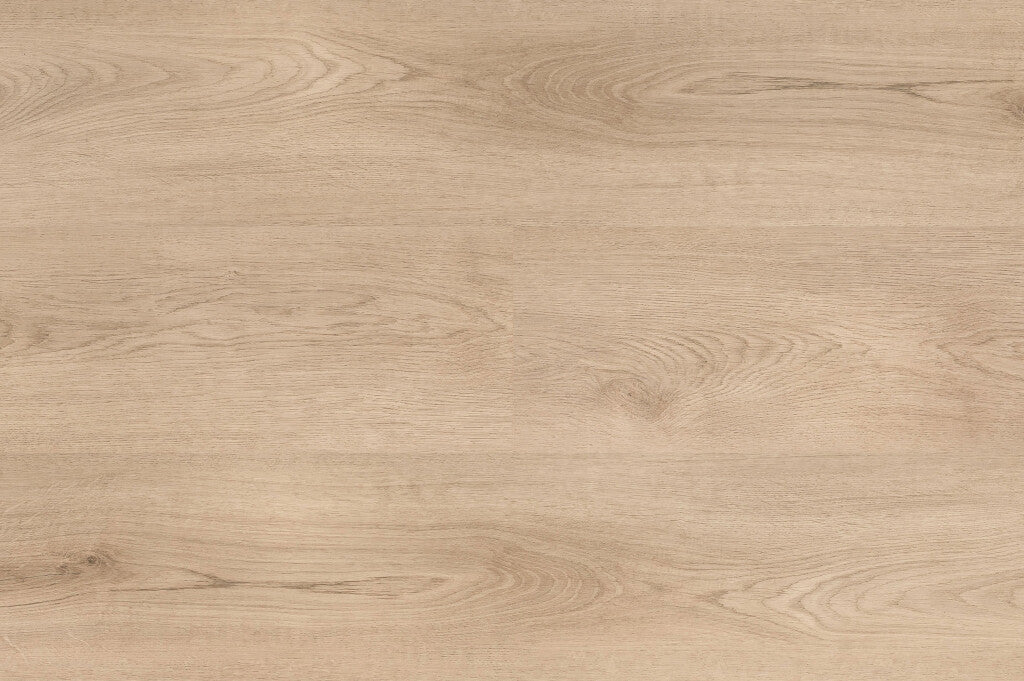 Clermont XL Plank - 54822 - Dryback (plak)