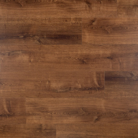 Dawn - Plank - Dryback (plak)