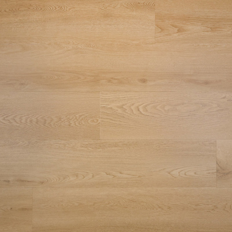 Joy - Plank - Dryback (plak)