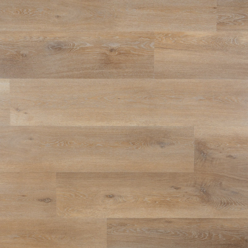 Lily - Plank - Dryback (plak)