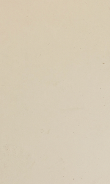 SPC wandpaneel beige