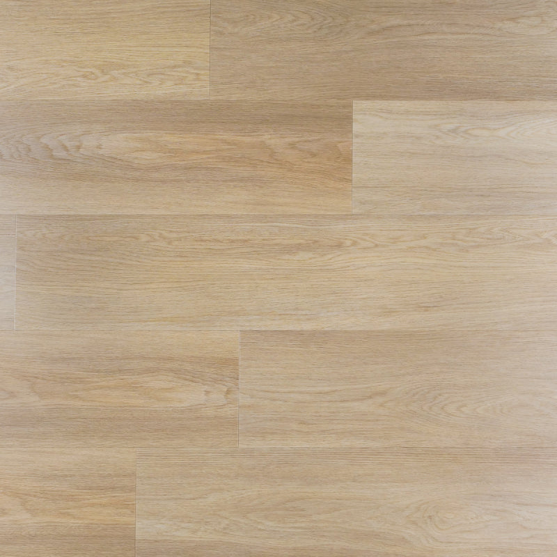 Magnolia - Plank - Dryback (plak)