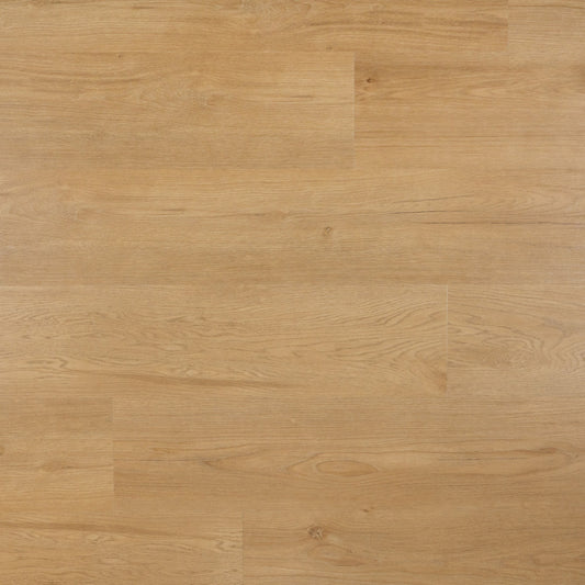 Hammam - Plank - Dryback (plak)